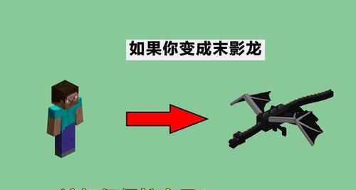 生命之龙技能加点攻略（加点技巧、技能选择、属性优化等全方位攻略解析）
