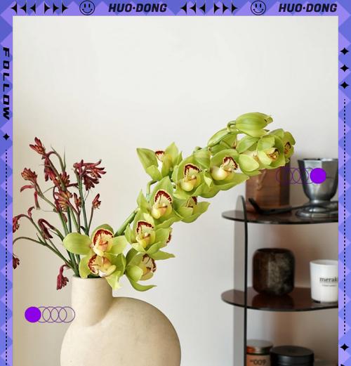 花盆大师（打造专属的花园乐园，尽情享受养花乐趣！）
