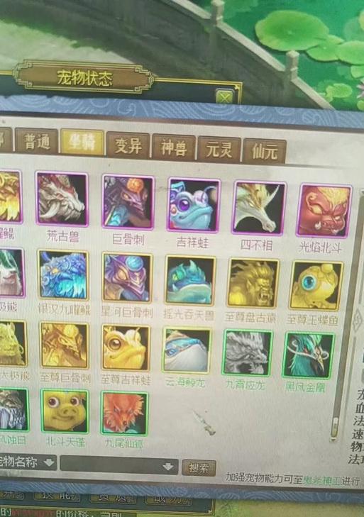 《问道宠物攻略手游》——解密宠物训练系统的秘密（在这个手游中，培养你的专属宠物军团！）