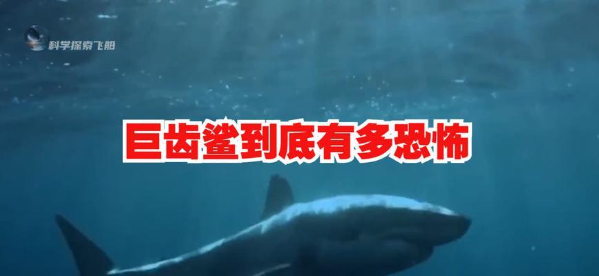 幸存的掠食游戏攻略（探索、狩猎与求生——如何在这个残酷的世界中生存下去）