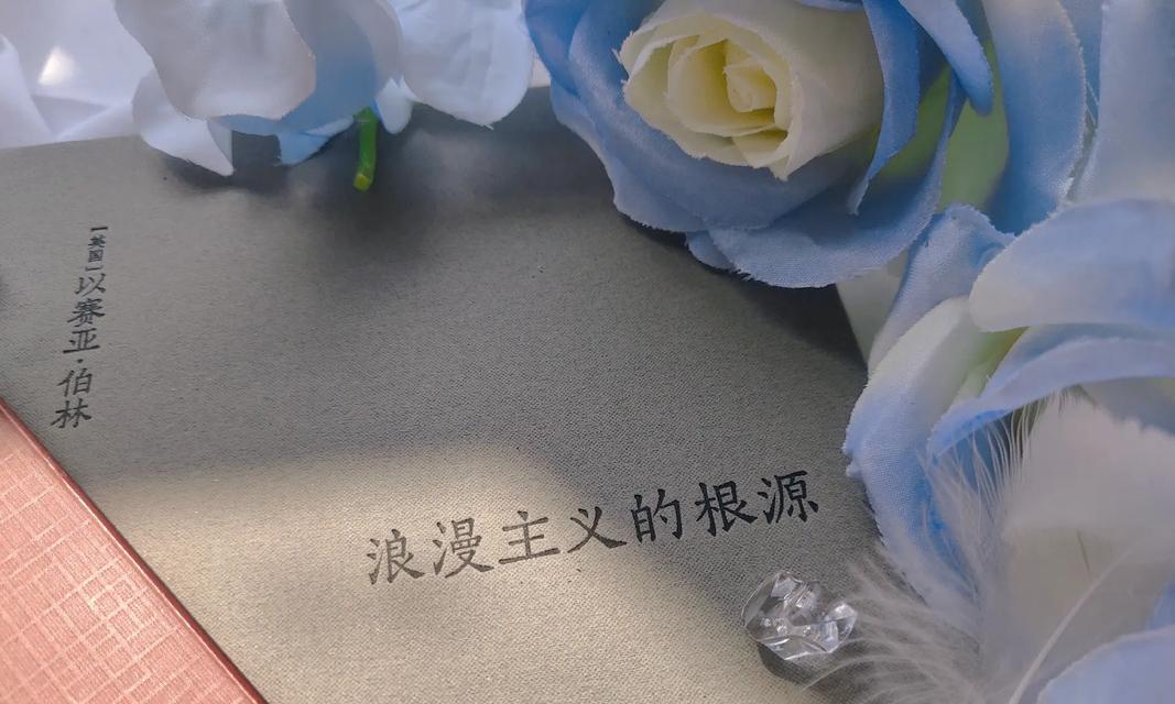 浪漫向导游戏攻略——寻找爱情的最佳指南（破解游戏关卡，揭开心灵密码，赢得真爱的秘籍）