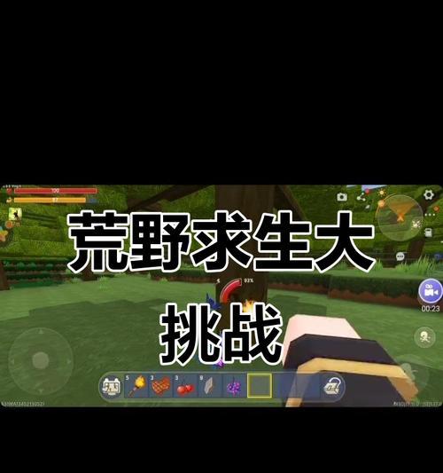 旷野求生小游戏攻略（游戏攻略、技巧、生存指南、旷野求生）