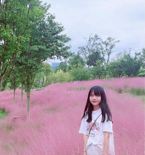 探寻粉色花海的乐趣（发现秘密、解锁技巧，带你畅游粉色花海的奇妙世界！）
