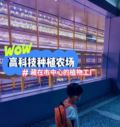 《迷你小农园游戏攻略》（打造属于你自己的迷你农场，享受种植乐趣！）